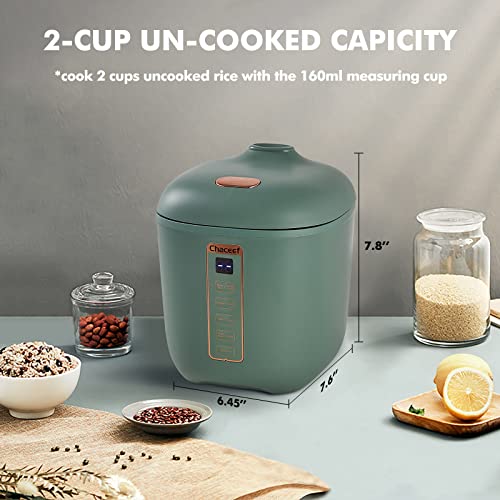 CHACEEF Mini Rice Cooker: Portable Smart Multifunction Steamer