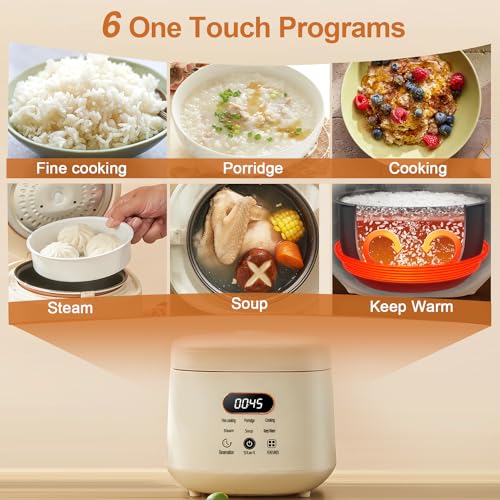 NUNET 6-1 Multi-Functional Smart Rice Cooker, 2QT