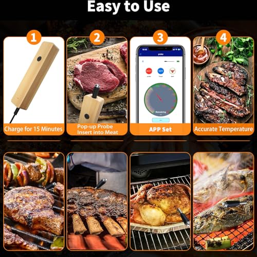 Smart Bluetooth Oven Thermometer for Remote BBQ Monitoring