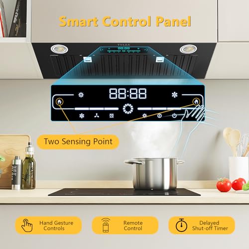 30 Inch Built-in Range Hood with Smart Control Panel