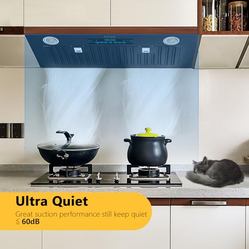 30 Inch Built-in Range Hood with Smart Control Panel