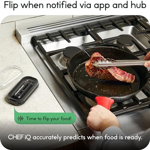 Smart Wireless Meat Thermometer with 2 Probes & Bluetooth