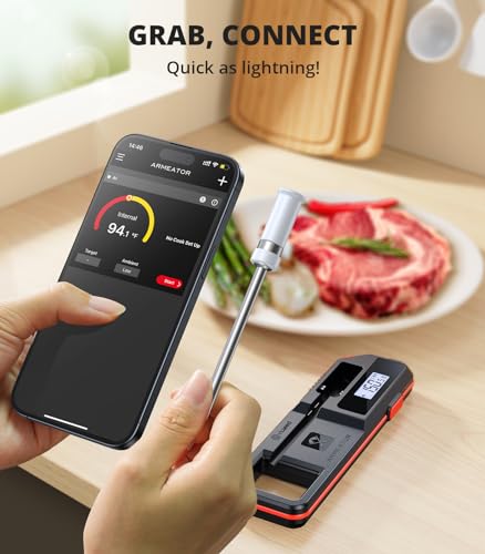 Vicseed Wireless Smart Meat Thermometer - Dual Alerts