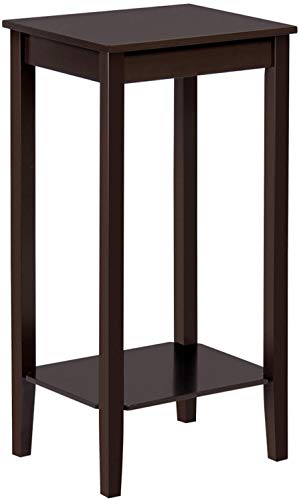 Topeakmart 2-Tier Tall End Table with Storage Shelf