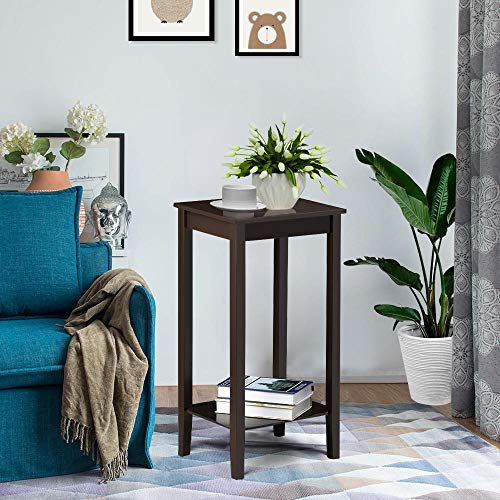 Topeakmart 2-Tier Tall End Table with Storage Shelf