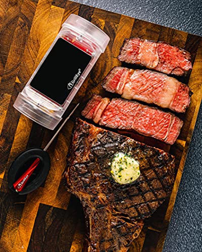 GrillEye Max Smart Meat Thermometer for Unlimited Range