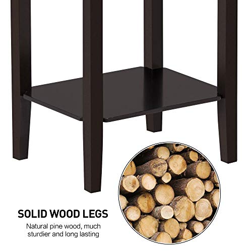 Topeakmart 2-Tier Tall End Table with Storage Shelf