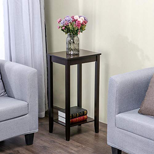 Topeakmart 2-Tier Tall End Table with Storage Shelf