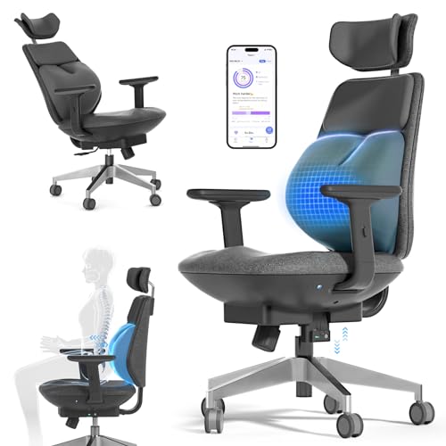 backrobo Smart Ergonomic Office Chair, Massage Lumbar Support, App-Controlled