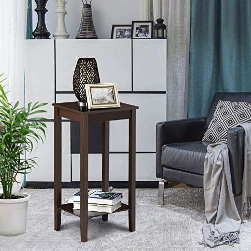 Topeakmart 2-Tier Tall End Table with Storage Shelf