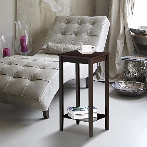 Topeakmart 2-Tier Tall End Table with Storage Shelf
