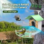 Smart Bird Feeder with Camera, AI Identify Bird Breed,Auto Capture Backyard Garden Bird Watching,Motion Detection, Solar-Powered WiFi 1080P Live Camera for Birds lover