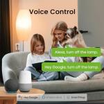 GHome Mini Smart Plug with App Control