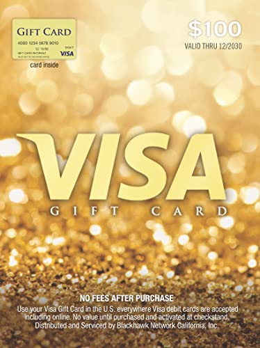 $100 Visa Gift Card with $5.95 Fee