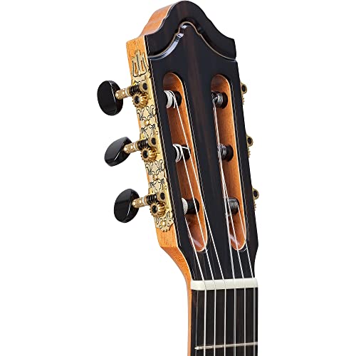 Amazon Gift Card $200 Bundle: Kremona Solea Guitar