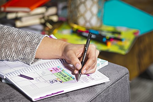 12-Pack Zebra Pen F-301 Black Ink Ballpoint