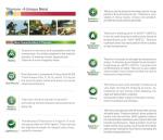 Keith Titanium Ti1731 Ultrathin Comb for Stylish Life