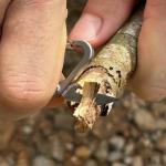 TiKOKEY Titanium Quick Release Carabiner Keychain