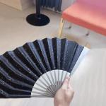 WANERSEN Mini Titanium Folding Fan - Black