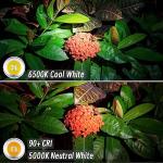 RovyVon Aurora A8 Mini Light with Titanium Flashlight