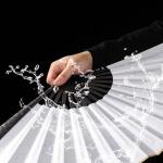 WANERSEN 13.38" Titanium Martial Arts Folding Fan