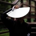 WANERSEN Titanium Folding Fan, Chinese Style EDC Gear