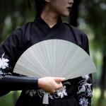 WANERSEN Titanium Folding Fan, Chinese Style EDC Gear