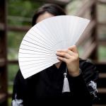 WANERSEN Titanium Folding Fan, Chinese Style EDC Gear