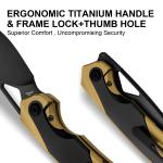 Kizer Topsail EDC Folding Knife with Titanium Handle