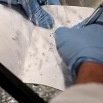 Field Notes | Expedition Edition 3-Pack | Waterproof Notebook