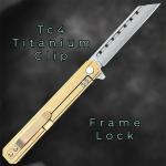 TC4 Titanium EDC Folding Knife with Tanto Blade