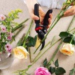 Titanium Garden Pruning Shears