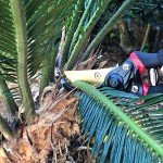 Titanium Garden Pruning Shears