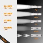 RovyVon A4 Pro Titanium Keychain Flashlight – 650 Lumens