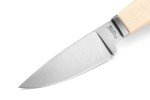 LionSTEEL Willy Compact EDC Fixed Blade Knife