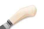 LionSTEEL Willy Compact EDC Fixed Blade Knife