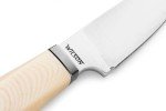LionSTEEL Willy Compact EDC Fixed Blade Knife