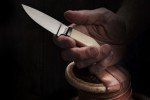LionSTEEL Willy Compact EDC Fixed Blade Knife