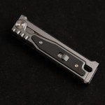 MASALONG Titanium Plated Folding EDC Tactical Knife