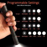 Titanium Pineapple-Shaped LED Flashlight - Nichia 519a