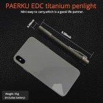 Titanium Pineapple-Shaped LED Flashlight - Nichia 519a