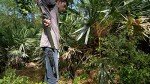 Camillus Carnivore X 18-Inch Titanium Machete & Multitool