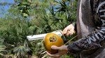Camillus Carnivore X 18-Inch Titanium Machete & Multitool