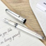 Asvine J16 Brushed Titanium Fountain Pen Set