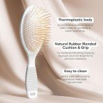 Titanium Gua Sha Hair Brush for Scalp Care