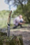Deejo Black Titanium Olive Wood Folding Knife