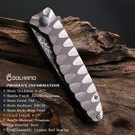 Titanium Frame Lock Folding Knife with Damascus Blade