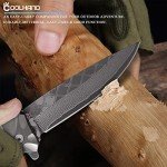 Titanium Frame Lock Folding Knife with Damascus Blade