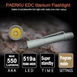 Compact Titanium Pineapple Mini Flashlight by Reylight