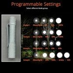 Compact Titanium Pineapple Mini Flashlight by Reylight